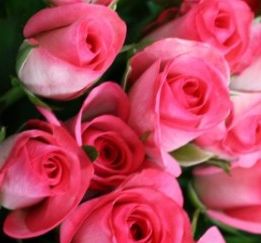 ... e Rose.